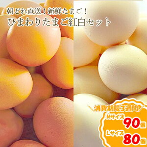 yӂ邳Ɣ[ŁzЂ܂肽܂gZbgi2ijj⏞10܁i①j  { ʎq