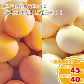 【ふるさと納税】農林水産大臣賞受賞！ひまわりたまご 紅白セット（40〜45個）※破卵補償10個含（冷蔵） 卵 鶏卵 玉子 最短