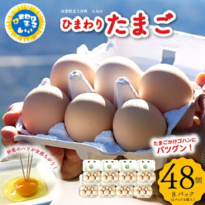 yӂ邳Ɣ[ŁzypVXeR̗pzGTɂĈĂЂ܂肽܂ 48i6pbN×8pbNj g܂ ܂  ʎq ^}S { VN  pbN Y  