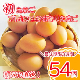 【ふるさと納税】＼10日以内発送／初たまご プレミアムひまわりたまご54個程度※破卵補償 卵 たまご 鶏卵 玉子 大容量 たまごかけご飯 たまごかけごはん 最短 濃厚