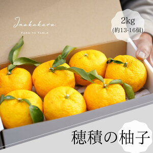 yӂ邳Ɣ[Łzy2025Nzxm쒬Y 䂸 2kg@Yn ς̗Mq }[}[hɂ Mq Y R ܂Ȃ xm쒬yA5402z