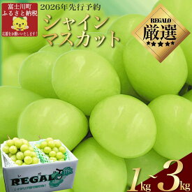【ふるさと納税】【2026年発送分 先行予約】頬張る幸福感　～緑の宝石・ シャインマスカット ～ 1kg以上（2～3房）から フルーツ 山梨県産 果物 くだもの シャイン マスカット ぶどう ブドウ 葡萄 大粒 種なし 先行予約 富士川町