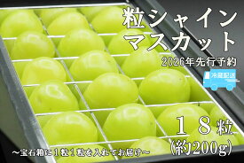 【ふるさと納税】【令和8年度先行予約】《厳選・宝石箱》シャインマスカットひと口BOX(18粒入り・約200g)※冷蔵発送※　シャイン マスカット ぶどう 葡萄 ブドウ 房なし 粒シャイン 粒のみ 粒だけ くだもの 果物 フルーツ 山梨 やまなし 富士川町
