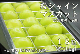 【ふるさと納税】【令和8年度先行予約】《厳選・宝石箱》シャインマスカットひと口BOX(18粒入り・約200g)　シャイン マスカット ぶどう 葡萄 ブドウ 房なし 粒シャイン 粒のみ 粒だけ くだもの 果物 フルーツ 山梨 やまなし 富士川町