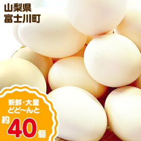 【ふるさと納税】ひまわりたまご40個程度 ※破卵補償10個含 卵 鶏卵 玉子 大容量