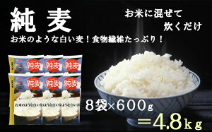 【ふるさと納税】【はくばく】純麦 8袋(1袋600g) 国産大麦 食物繊維 麦 むぎ むぎご飯 麦ごはん 麦ご飯 ファイバースノウ 白い麦