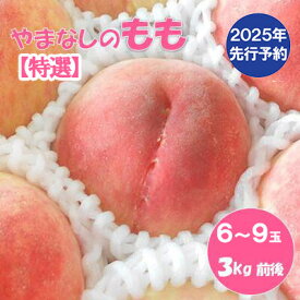 【ふるさと納税】【2025年発送分 先行予約】【朝採れももを直送！】【7月以降発送予定】【特選】フルーツ王国やまなし 小林農園の桃（6〜9個入り/3kg前後）桃 モモ もも ピーチ 3kg フルーツ 果物 山梨 富士川町 甘い 夢みずき 浅間白桃 なつっこ 川中島白桃 一宮水蜜 白秋