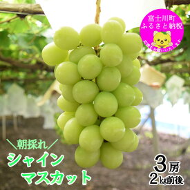 【ふるさと納税】【2025年発送分 先行予約】＼＼農家直送！／／小林農園のシャインマスカット3房（2kg前後）　シャイン マスカット シャインマスカット ぶどう 葡萄 ブドウ 果物 くだもの フルーツ 2kg 大粒 産地直送 先行予約 先行受付 山梨 やまなし