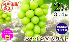 【ふるさと納税】【2026年発送分 先行予約】＼＼農家直送！／／小林農園のシャインマスカット3～4房（2kg前後）　シャイン マスカット シャインマスカット ぶどう 葡萄 ブドウ 果物 くだもの フルーツ 2kg 産地直送 先行予約 先行受付 山梨 やまなし