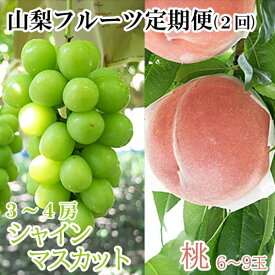 【ふるさと納税】【2026年発送分 先行予約】【フルーツ王国やまなしのフルーツ定期便】 小林農園のシャインマスカット（3～4房 2kg前後）＆桃（6～9玉 3kg前後）定期便（2回）　シャイン ぶどう ブドウ 葡萄 桃 もも 果物 くだもの フルーツ 定期便 食べ比べ 山梨