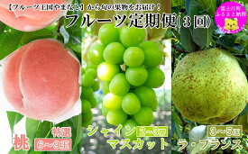 【ふるさと納税】【2026年発送分】【やまなしフルーツ定期便（3回）】 桃【特選】（3kg・6-9玉）＆シャインマスカット（2kg前後・3-4房）＆ラ・フランス（1.5kg以上・3-5玉）　定期便　果物 フルーツ くだもの もも シャイン 洋梨 洋なし 山梨 やまなし 富士川町