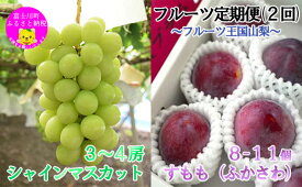 【ふるさと納税】【2026年発送分】【フルーツ定期便】小林農園のシャインマスカット約2kg(3～4房)＆【糖度16度以上】すもも『ふかさわ』（8〜11個入り/約1.3〜1.5kg）　シャイン マスカット ぶどう ブドウ 葡萄 李 スモモ フルーツ 果物 くだもの 山梨 やまなし 富士川町