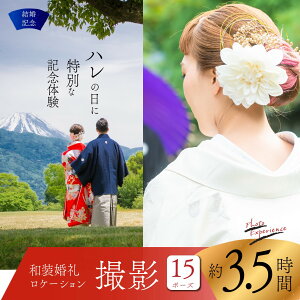 yӂ邳Ɣ[ŁzyLOza烍P[VBe15P