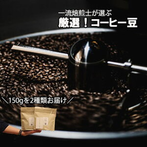 yӂ邳Ɣ[ŁzySpecialty Coffeez^i܂ƁjR[q[i2ށj Yn͂܂@R[q[  R[q[ 蓤  RX^J uW OAe} RrA G`Is