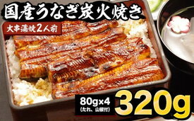 【ふるさと納税】炭火焼うなぎ大串蒲焼　2人前（たれ、山椒付）