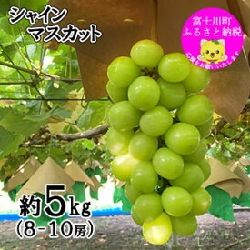 【ふるさと納税】【数量限定】【2025年発送分 先行予約】シャインマスカット（5kg以上・8～10房）　シャイン マスカット ぶどう ブドウ 葡萄 フルーツ 果物 くだもの 山梨 やまなし 富士川町