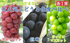【ふるさと納税】【2025発送分】【フルーツ王国山梨】3色ぶどう食べ比べセット（巨峰・シャインマスカット・スカーレット 各1房・約2.15kg）　ぶどう 葡萄 ブドウ マスカット シャイン 赤ぶどう 黒ぶどう くだもの フルーツ 果物 食べ比べ お試し 山梨 やまなし 富士川町
