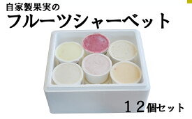 【ふるさと納税】自家生産果実のフルーツシャーベット 12個セット　果物 くだもの 山梨 やまなし 富士川町