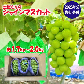 【ふるさと納税】【2026年発送分 先行予約】土屋さんのシャインマスカット(1.7～2.0kg 3～4房) シャイン マスカット 富士川町産 産地直送 フルーツ 果物 くだもの ブドウ ぶどう 葡萄 やまなし 山梨 先行受付 令和8年