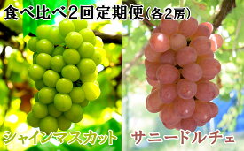 【ふるさと納税】【数量限定】【2026年発送分 先行予約】【2回食べ比べ定期便・別送】シャインマスカット（2房）+サニードルチェ（2房）食べ比べ定期便（2回発送）　シャイン シャインマスカット フルーツ 果物 くだもの 山梨 やまなし サニードルチェ 食べ比べ 定期便