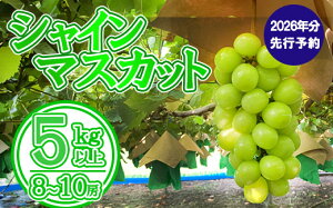 yӂ邳Ɣ[Łzyʌzy2026N s\zVC}XJbgi5kgȏE8`10[j@VC }XJbg Ԃǂ uhE  t[c ʕ  R ܂Ȃ xm쒬