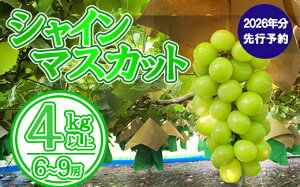 yӂ邳Ɣ[Łzyʌzy2026N s\zVC}XJbgi4kgȏE6`9[j@VC }XJbg Ԃǂ uhE  t[c ʕ  R ܂Ȃ xm쒬