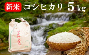 yӂ邳Ɣ[ŁzyʌzyRYzsVātRVqJ 5kg@Ђ    FʑI CX R ܂Ȃ xm쒬 N