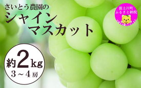 【ふるさと納税】【2025年発送分】さいとうさん家のシャインマスカット 3～4房 （約2kg） 8月下旬以降発送 シャイン マスカット 葡萄 ブドウ ぶどう くだもの フルーツ 産地直送 山梨 やまなし 先行予約 富士川町