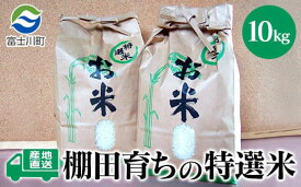 【ふるさと納税】★令和7年度産★特選米10kg　天日干し 精米済 山梨県富士川町産 棚田米 お米 こしひかり コシヒカリ 平林