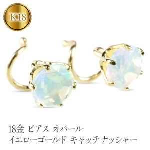 yӂ邳Ɣ[Łz 18 sAX k18 Ip[ Lb`̂ȂsAX ςȂ S[h 10a yA CG[S[hK18 18k Lb`ibV[ WG[ R a Ǘ