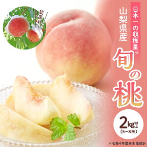 yӂ邳Ɣ[Łz ӂ邳Ɣ[     t[c ʕ  fU[g { Yn Â  Ԍ  lC R a y2026NzRY {̓ 2kg