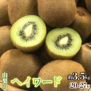 yӂ邳Ɣ[Łz2025N/ߘa7Ns\񁄃LECt[ciwC[hj@20`27 3.5kg SWAO004 ӂ邳Ɣ[ LEC LECt[c wC[h RY Yn VN Y s\