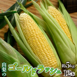 �y�ӂ邳�Ɣ[�Łz�ӂ邳�Ɣ[�� �S�[���h���b�V�� �Â� �{�����[�~�[ �R�����Y �Y�n���� �V�N ��� ��s�\�� �Ƃ����낱�� �l�C �M�t�g �v���[���g ���j�� �R���� ���a�� ���蕨 �������� ��