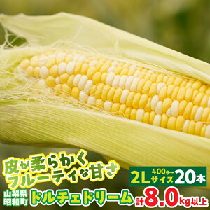 yӂ邳Ɣ[Łzy2026Ns\zRYh`Fh[2LTCY 6{ 10{ 20{ Zbg Ƃ낱 낱 gERV RV R[ Y Y VN Yn o[xL