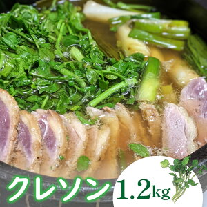yӂ邳Ɣ[Łz N\ 1200g kCEEւ̔zs wsӂ邳Ɣ[  ₳ N\ t킹 R u  DSL006