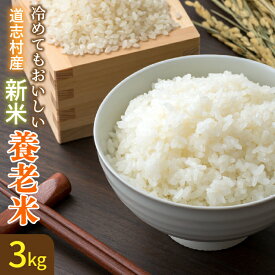 【ふるさと納税】 米【3kg】〜養老米〜 DSAD001