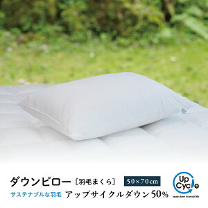 �y�ӂ邳�Ɣ[�Łz �y�x�m�V�K�ސ��z 50×70cm �_�E���s���[�u�T�X�e�i�u���ȉH�сv�A�b�v�T�C�N���_�E���H�і��������w��s�� �ӂ邳�Ɣ[�� �܂��� �� �_�E���s���[ �Q�� �H�� �_�E�� �s���[