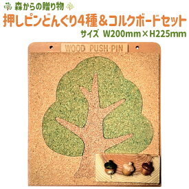 【ふるさと納税】 押しピンどんぐり4種＆コルクボードセット ≪壁掛け おしゃれ 可愛い ボード 飾る 写真 掲示板≫ふるさと納税 コルクボード 壁掛け メッセージボード コルク 押しピン 山梨県 道志村 送料無料 DSR023