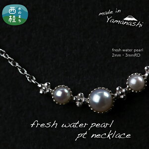 yӂ邳Ɣ[Łz W p[ lbNX iRP-MN-0497j ӕʏ ۏ؏ P[X t WG[ ANZT[  Mtg v[g 蕨 LO j a lC   R 