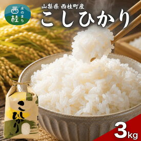 【ふるさと納税】コシヒカリ 国産 こしひかり 3キロ 令和7年産 米 お米 保存袋 生活必需品 ギフト 贈り物 お歳暮 ふるさと納税 送料無料[n0673_gou]