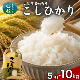 【ふるさと納税】コシヒカリ 選べる容量 / 国産 こしひかり 5キロ 10キロ 令和7年 新米 米 お米 保存袋 生活必需品 ギフト 贈り物 お歳暮 ふるさと納税 送料無料[n0663_gou]