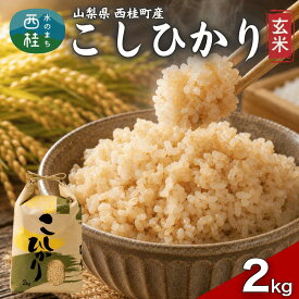 【ふるさと納税】コシヒカリ【玄米】 国産 こしひかり 2キロ 令和7年産 米 お米 保存袋 生活必需品 ギフト 贈り物 お歳暮 ふるさと納税 送料無料[n0674_gou]