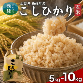 【ふるさと納税】コシヒカリ【玄米】 選べる容量 / 国産 こしひかり 5キロ 10キロ 令和7年産 米 お米 保存袋 生活必需品 ギフト 贈り物 お歳暮 ふるさと納税 送料無料 [n0668_gou]
