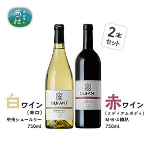 yӂ邳Ɣ[Łz C C ԃC  OLIFANT bBV[[MEBEA Mn 750ml×e1   AR[ YC HO H Ԃǂ uhE  v[g j 