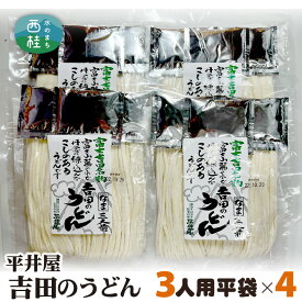 【ふるさと納税】No.355 吉田のうどん3人前平袋×4パック（3人前×4パック） ／ 麺 乱切り麺 送料無料 山梨県 特産品