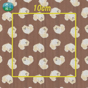 yӂ邳Ɣ[Łz No.457 iruyo@|GXen@|jA ^ 񂿂    Ae  R