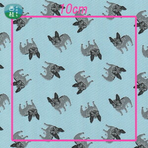 yӂ邳Ɣ[Łz No.458 iruyo@|GXen@t`uhbO ^ 񂿂    Ae  R