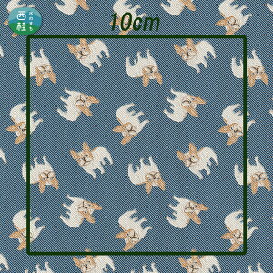 yӂ邳Ɣ[Łz No.458 iruyo@|GXen@t`uhbO ^ 񂿂    Ae  R