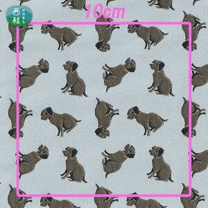 yӂ邳Ɣ[Łz No.463 iruyo@|GXen@uh[go[ ^ 񂿂    Ae  R
