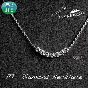yӂ邳Ɣ[Łz _C _Ch lbNX 0.23ct ӕʏ ۏ؏ P[X t WG[ ANZT[ y_g  v`i Mtg v[g 蕨 LO j a lC 